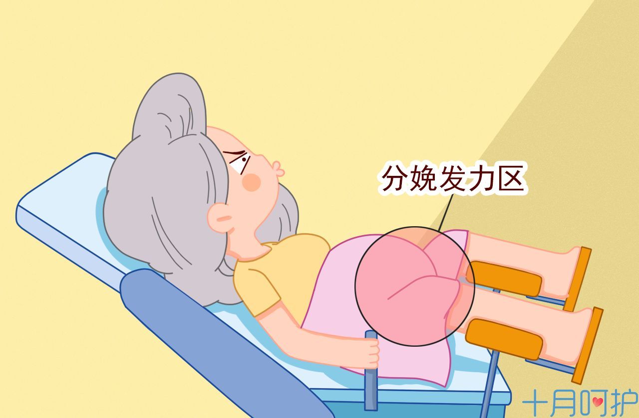 开元ky-《球球大作战》12月线上公开赛决赛 今明两天角逐冠军(图4) KY开元集团官网