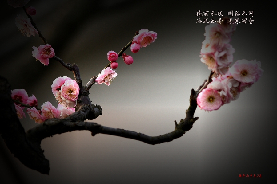 KY开元集团官网_曝男篮红队世预赛12人名单 赵继伟翟晓川因伤缺席(图1) ky开元