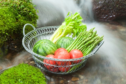 中电联2019年1-4月份电力工业运行简况|开元ky(图3) ky开元集团