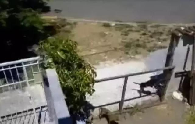 罗克韦尔自动化新版PlantPAxDCS系统助力企业应对工厂生命周期中的行业挑战“开元ky”(图1) ky开元