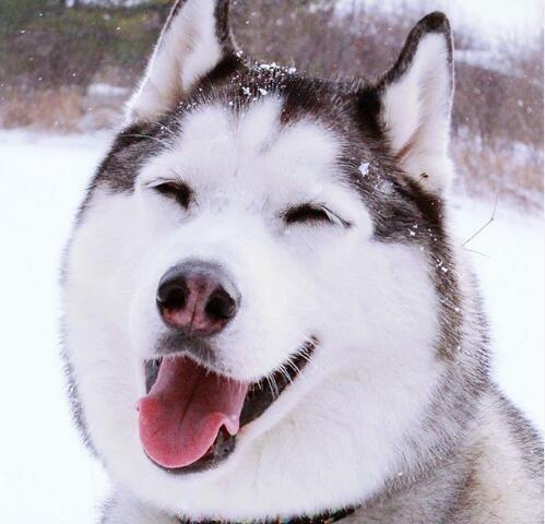 KY开元集团官网