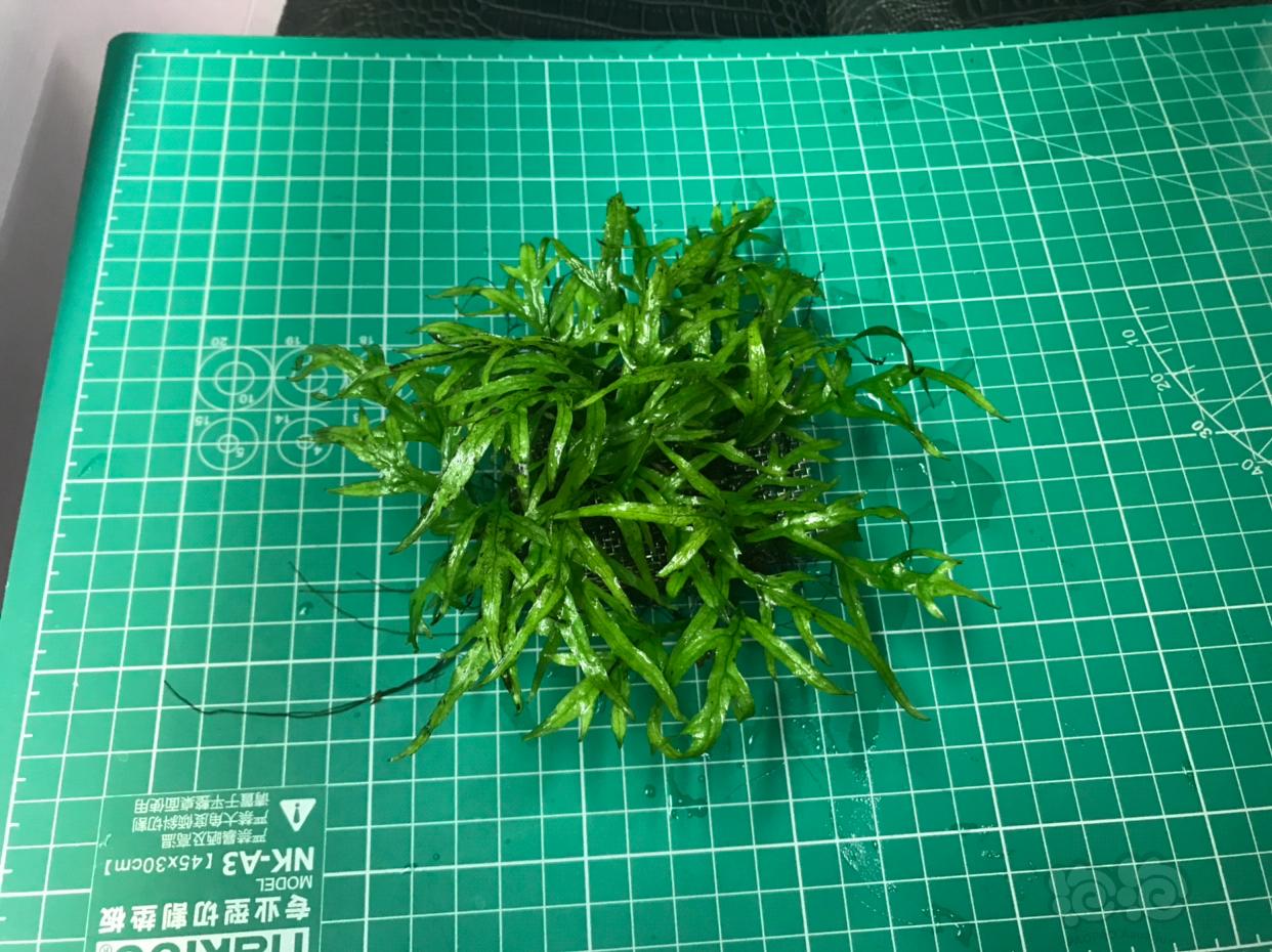 KY开元集团官网