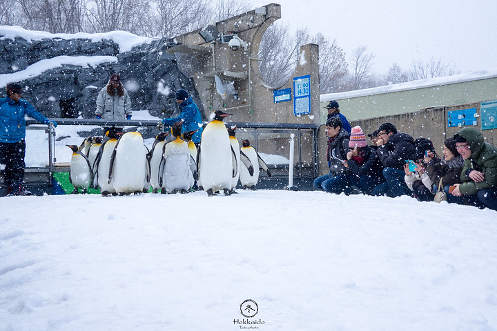 延续丢分不叫暂停?凯撒:晓得我当教练多少年吗?“ky开元集团”(图2) ky开元