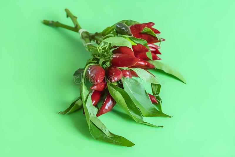 “ky开元”董瀚麟26分小布助攻创新高 广东送吉林主场首败(图1) ky开元集团