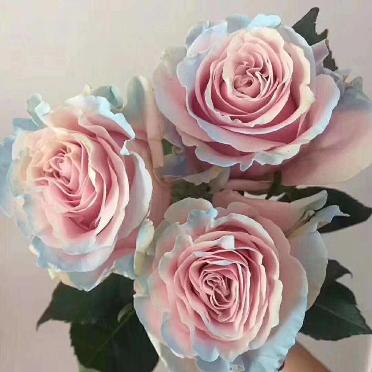 KY开元集团官网