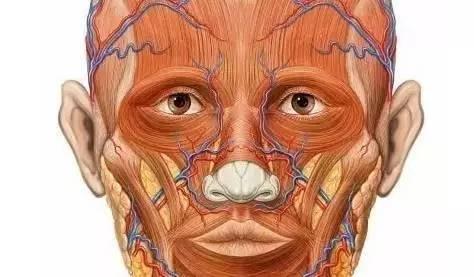 KY开元集团官网