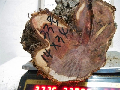 ky开元:煤矿关井三年后,煤海开出牡丹花(图2) KY开元集团官网