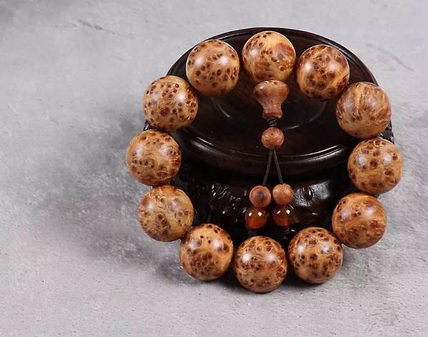 攀岩之路因为有光头佬的陪伴而分外温暖‘开元ky’(图4) KY开元集团官网