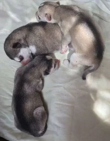 开元ky-新时代音舞手游《心舞》 今日双端全渠道首发!(图3) ky开元