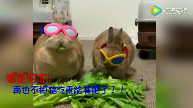 ky开元集团